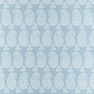 Campania Paisley Robin's Egg AW16108 by Thibaut Fabric