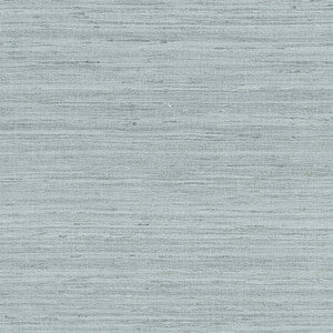 Pradesh Blue Slate AW16114 by Thibaut Fabric