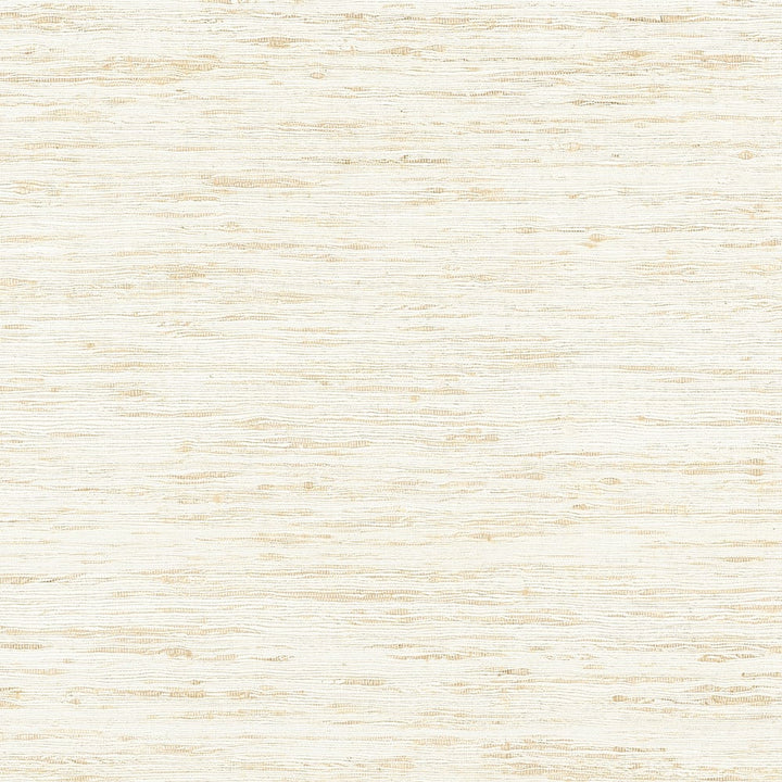 Pradesh Beige AW16116 by Thibaut Fabric Thibaut Fabric Pradesh Beige AW16116Fabric SOLEIL TEXTURES U.S.A </p><p>Repeat: H: , V: (0.00 cm) 54 in  (137.16 cm) - Fabric Carolina -