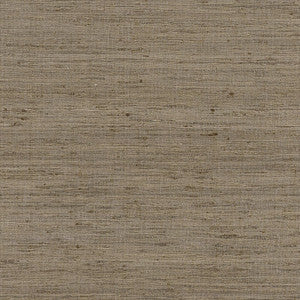 Pradesh Natural AW16117 by Thibaut Fabric
