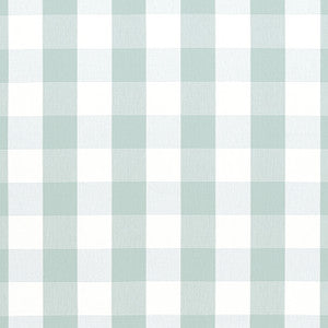 Hammond Check Robin's Egg AW24503 by Anna French Fabric