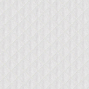 Prussia Quilt White AW9108 by Anna French Fabric