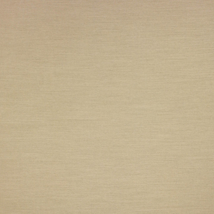 Aypace Linen by Richloom Fabric See sample 100% Solution Dyed Acrylic USA or Imported 30K </p><p>Repeat: Solid 56" - Fabric Carolina -