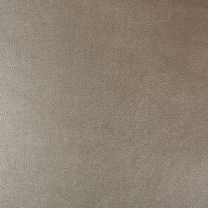 Azeri-106 by Kravet Design Fabric POLYURETHANE - 62%;POLYESTER - 38% China HEAVY Horizontal: and Vertical: 54 - Fabric Carolina -