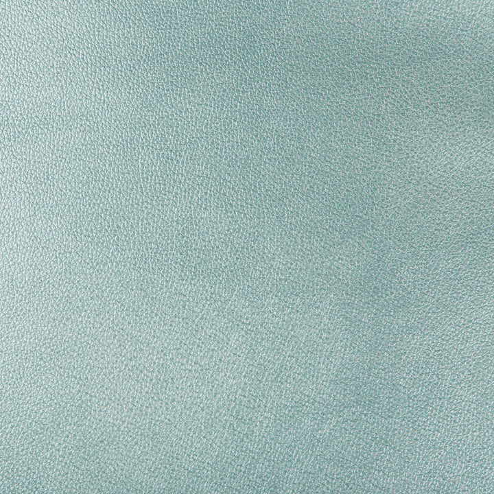 Azeri-13 by Kravet Design Fabric POLYURETHANE - 62%;POLYESTER - 38% China HEAVY Horizontal: and Vertical: 54 - Fabric Carolina -