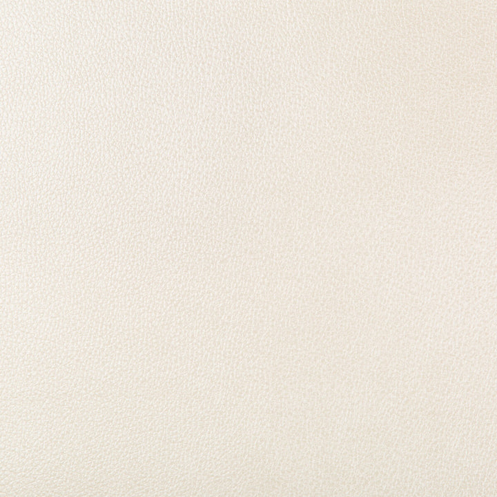 Azeri-1 by Kravet Design Fabric POLYURETHANE - 62%;POLYESTER - 38% China HEAVY Horizontal: and Vertical: 54 - Fabric Carolina -