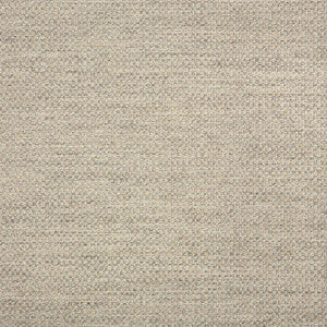44285-0001 Action Ash by Sunbrella Fabric