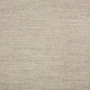 44285-0001 Action Ash by Sunbrella Fabric