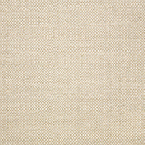 44285-0000 Action Linen by Sunbrella Fabric