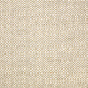 44285-0000 Action Linen by Sunbrella Fabric