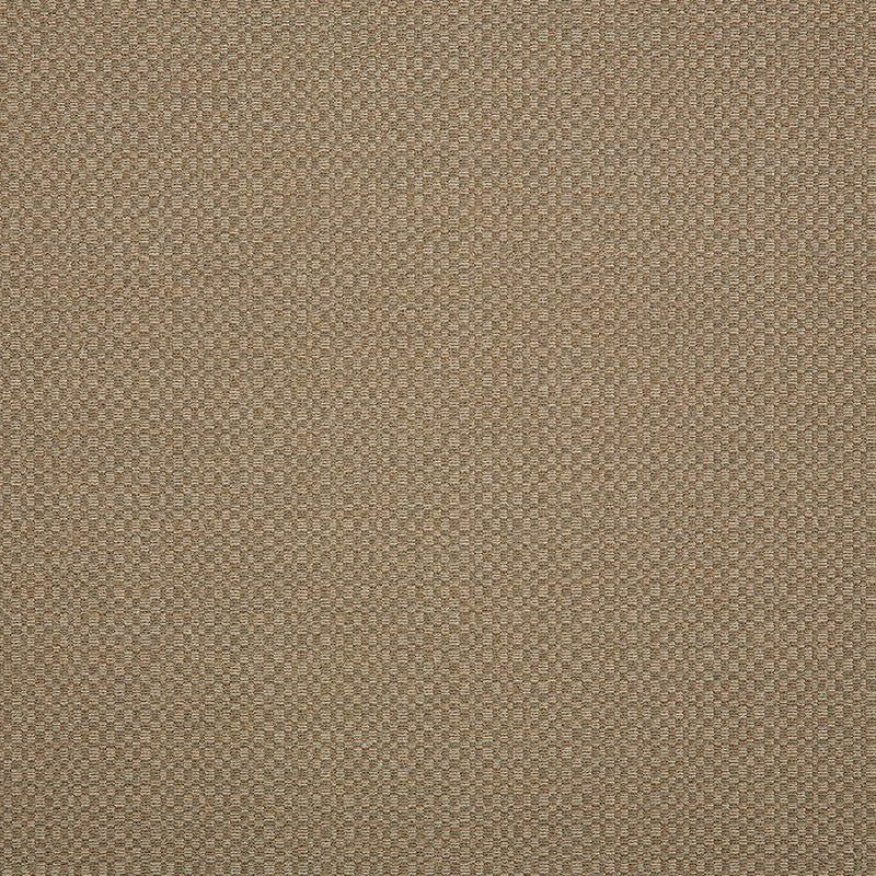 44285-0003 Action Taupe by Sunbrella Fabric our website for purchase 100% Sunbrella Acrylic USA (see sample) n/a 54"  - Fabric Carolina -