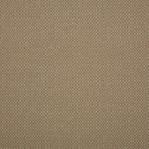 44285-0003 Action Taupe by Sunbrella Fabric