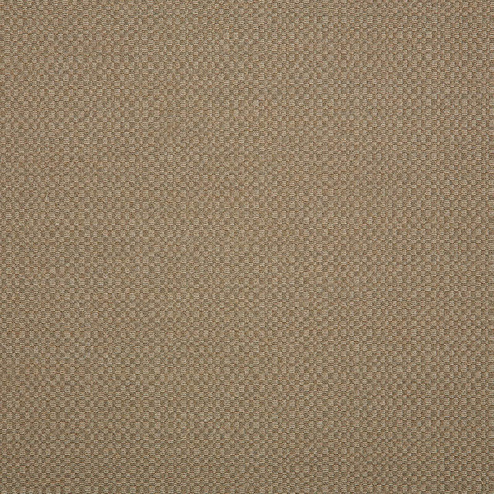44285-0003 Action Taupe by Sunbrella Fabric Cushion Furniture Drapery Fabrics > Sunbrella Specialty Weaves 100% Acrylic USA or Imported n/a 54" - Fabric Carolina -