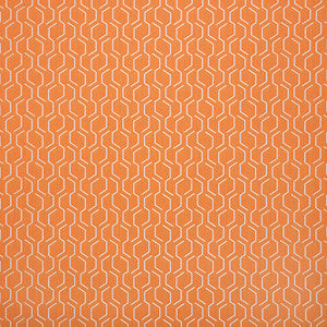 69010-0003 Adaptation Apricot by Sunbrella Fabric