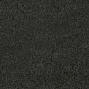 Alchemy Anchor by Enduratex Fabric