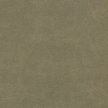 Alchemy Nine Iron ALC-517 by CGPC Designer Fabric See sample 100% Vinyl USA or Imported Water-based cleaning agents and foam may be used for cleaning. Cleaning by a professional cleaning service is recommended.  54  - Swanky Fabrics -