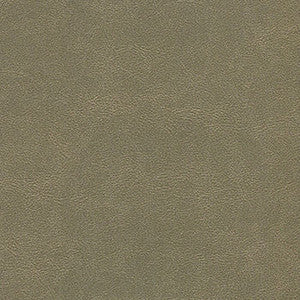 Alchemy Nine Iron by Enduratex Fabric