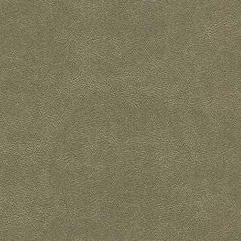 Alchemy Nine Iron ALC-517 by Burch Fabric our website for purchase 100% Vinyl USA or Asia Water-based cleaning agents and foam may be used for cleaning. Cleaning by a professional cleaning service is recommended. Horizontal: - and Vertical: - 54" - Fabric Carolina -