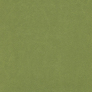 Alchemy Posh Peridot by Enduratex Fabric