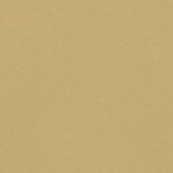 Allante Hideaway by Morbern Fabric See sample 100% Vinyl 100000 Horizontal: Not Applicable and Vertical: Not Applicable 54" - Fabric Carolina -
