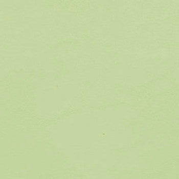 Allante Meadow by Morbern Fabric See sample 100% Vinyl 100000 Horizontal: Not Applicable and Vertical: Not Applicable 54" - Fabric Carolina -
