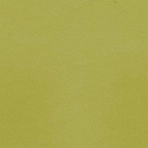 Allante Parrot by Morbern Fabric