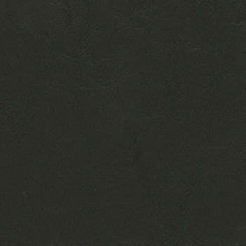Allante Touch Black AT-926 by Morbern Fabric our website for purchase 100% Vinyl USA or Asia Water-based cleaning agents and foam may be used for cleaning. Cleaning by a professional cleaning service is recommended. Horizontal: - and Vertical: - 54" - Fabric Carolina -