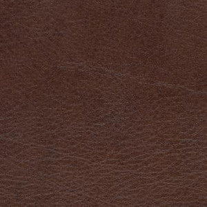 Allegro Briarwood by Spradling Fabric