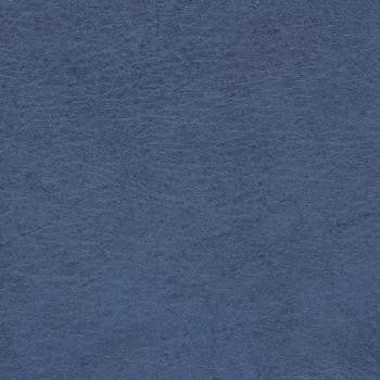Allegro Brittany Blue 0877 by Spradling Fabric See sample 100% Vinyl USA or Imported Water-based cleaning agents and foam may be used for cleaning. Cleaning by a professional cleaning service is recommended. </p><p>Repeat: Horizontal: and Vertical: 54" - Fabric Carolina -
