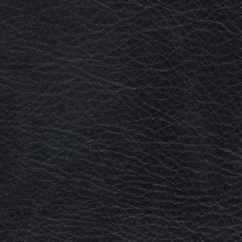 Allegro Coal 0882 by Spradling Fabric See sample 100% Vinyl USA or Imported Water-based cleaning agents and foam may be used for cleaning. Cleaning by a professional cleaning service is recommended. 54 - Fabric Carolina -