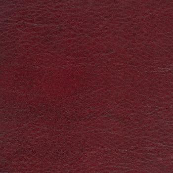 Allegro Cognac by Spradling Fabric See sample 100% Vinyl 0 Horizontal: Not Applicable and Vertical: Not Applicable 54" - Fabric Carolina -