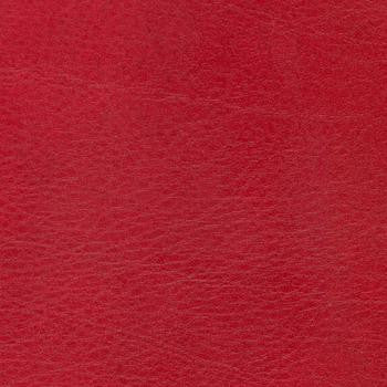Allegro Garnet by Spradling Fabric See sample 100% Vinyl 0 Horizontal: Not Applicable and Vertical: Not Applicable 54" - Fabric Carolina -