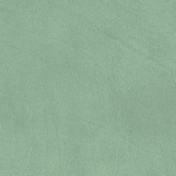 Allegro Sage Green 0881 by Spradling Fabric See sample 100% Vinyl USA or Imported Water-based cleaning agents and foam may be used for cleaning. Cleaning by a professional cleaning service is recommended. 54 - Fabric Carolina -