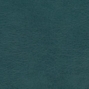 Allegro Shadow Green 0880 by Spradling Fabric See sample 100% Vinyl USA or Imported Water-based cleaning agents and foam may be used for cleaning. Cleaning by a professional cleaning service is recommended. </p><p>Repeat: Horizontal: and Vertical: 54" - Fabric Carolina -