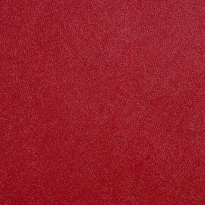 Allsport-Aztec Aztec by Charlotte Fabric Allsport 100% Vinyl, 37oz. Asia Exceeds 100,000 Wyzenbeek Rubs (Heavy Duty) </p><p>Repeat: No Repeat 54 Inches - Fabric Carolina -