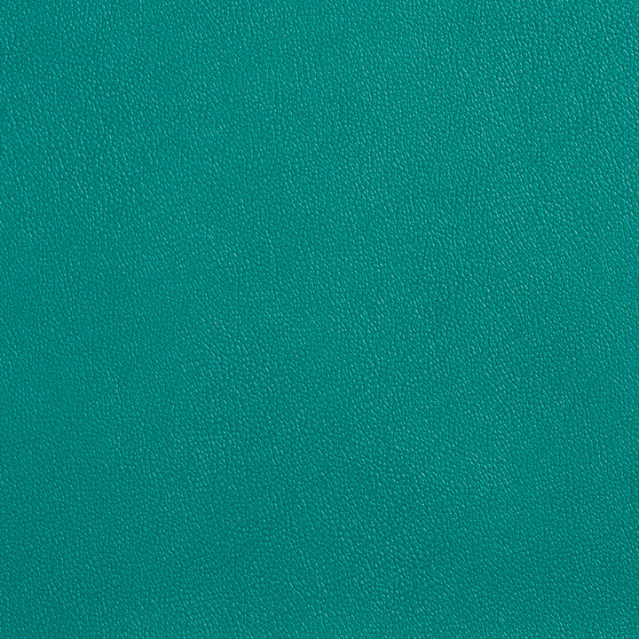 Allsport-Green Green by Charlotte Designer Fabric Allsport 100% 37oz. Virgin Vinyl Asia Exceeds 100,000 Wyzenbeek Rubs (Heavy Duty) No Repeat 54 Inches - Swanky Fabrics -