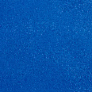 Allsport-Royal Royal by Charlotte Fabric
