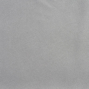 Allsport-Silver Silver by Charlotte Fabric