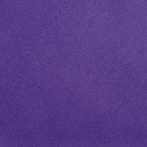 Allsport-Violet Violet by Charlotte Fabric