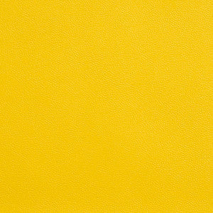 Allsport-Yellow Yellow by Charlotte Fabric