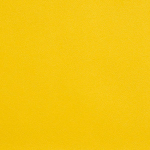 Allsport-Yellow Yellow by Charlotte Fabric