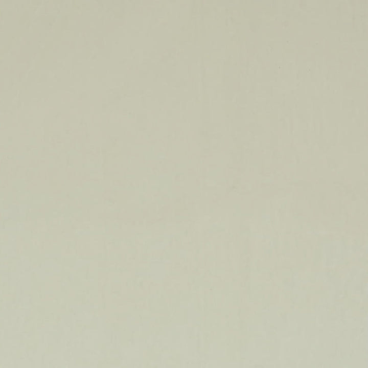 Ashwan Bone by Europatex Fabric Ashwan 100% Polyester 0.00" 58.00 inches - Fabric Carolina -