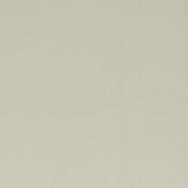 Ashwan Bone by Europatex Designer Fabric Ashwan 100% Polyester 0.00" 58.00 inches - Swanky Fabrics -