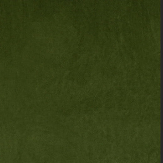 Ashwan - Grass by Europatex Fabric Ashwan 100% Polyester China See Sample Horizontal: N/A and Vertical: N/A 58.00 inches  - Fabric Carolina -