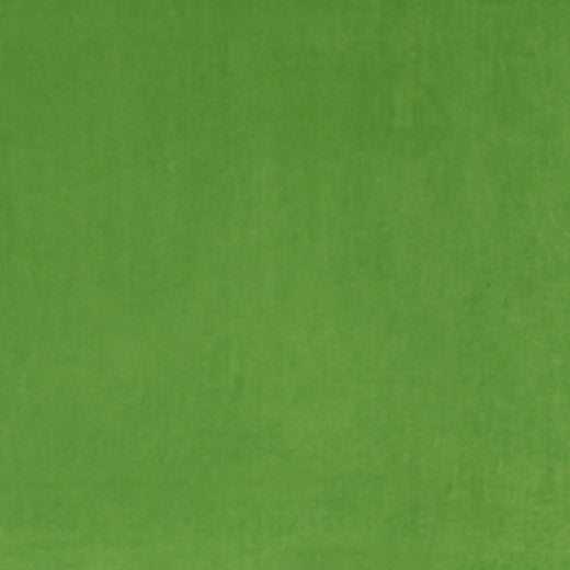 Ashwan - Leaf by Europatex Designer Fabric Ashwan 100% Polyester China See Sample Horizontal: N/A and Vertical: N/A 58.00 inches  - Swanky Fabrics -