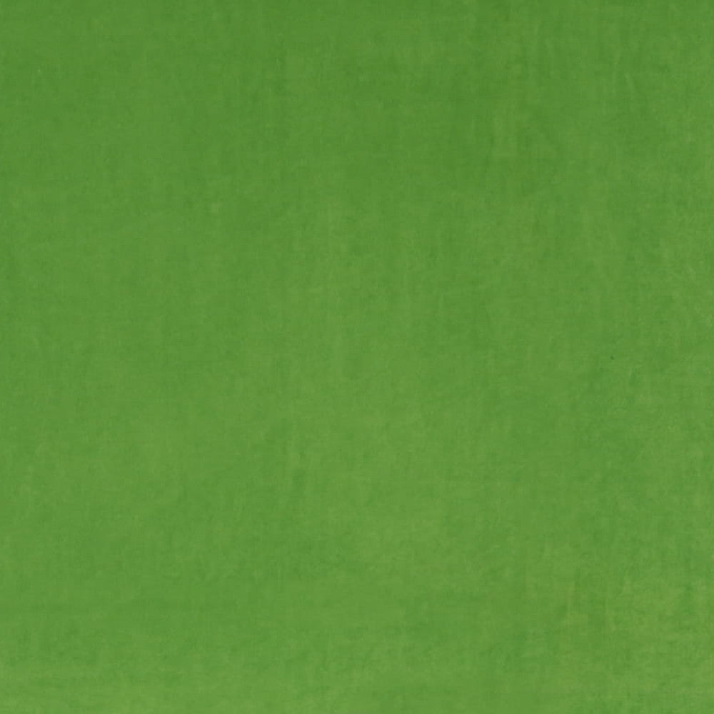 Ashwan Leaf by Europatex Designer Fabric Ashwan 100% Polyester 0.00" 58.00 inches - Swanky Fabrics -