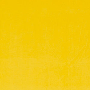 Ashwan Mango by Europatex Fabric