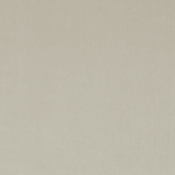 Ashwan Stone by Europatex Fabric Ashwan 100% Polyester 0.00" 58.00 inches - Fabric Carolina -
