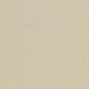 Atmosphere Champagne by Spradling Fabric