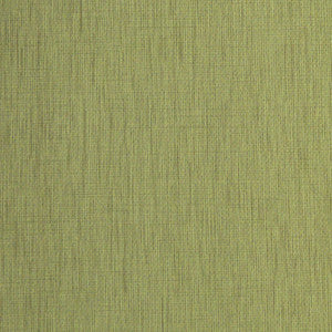 Austen Artichoke by Nassimi Fabric